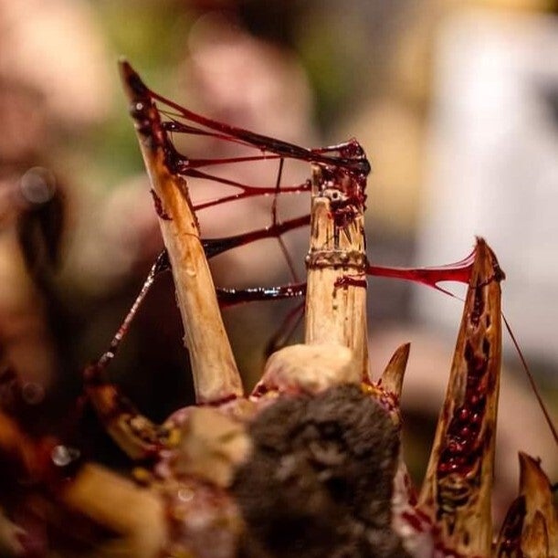 Dirty Down: Gore – small 15ml pot